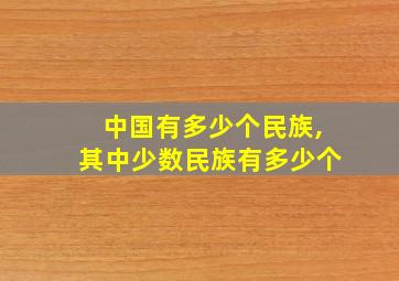 中国有多少个民族,其中少数民族有多少个