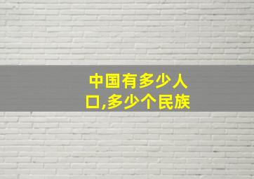 中国有多少人口,多少个民族