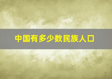 中国有多少数民族人口