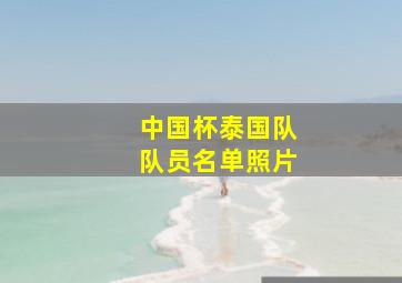 中国杯泰国队队员名单照片