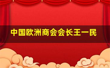 中国欧洲商会会长王一民