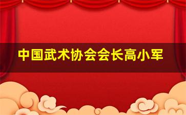 中国武术协会会长高小军