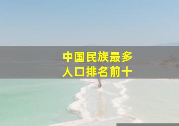 中国民族最多人口排名前十