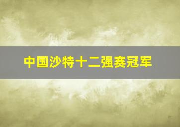 中国沙特十二强赛冠军