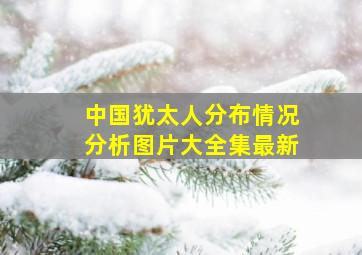 中国犹太人分布情况分析图片大全集最新