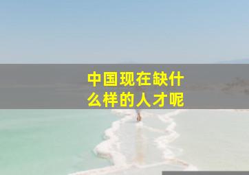 中国现在缺什么样的人才呢