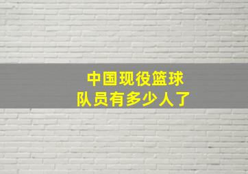 中国现役篮球队员有多少人了