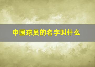 中国球员的名字叫什么