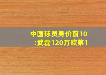 中国球员身价前10:武磊120万欧第1