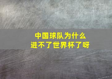 中国球队为什么进不了世界杯了呀