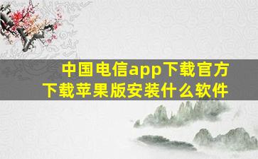 中国电信app下载官方下载苹果版安装什么软件