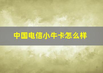 中国电信小牛卡怎么样