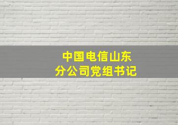 中国电信山东分公司党组书记