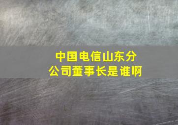 中国电信山东分公司董事长是谁啊