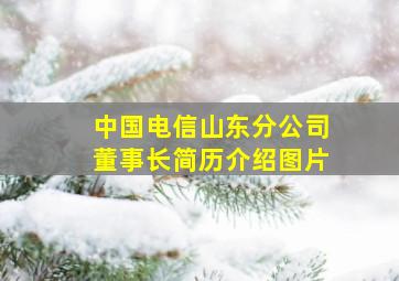 中国电信山东分公司董事长简历介绍图片