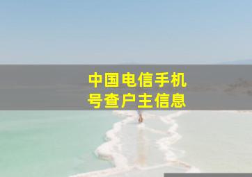 中国电信手机号查户主信息