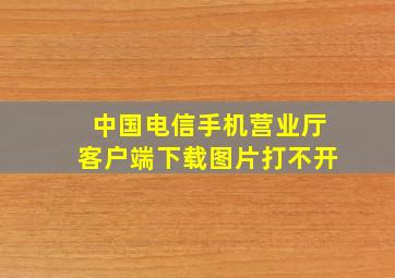 中国电信手机营业厅客户端下载图片打不开