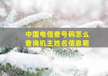 中国电信查号码怎么查询机主姓名信息呢