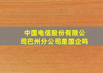 中国电信股份有限公司巴州分公司是国企吗