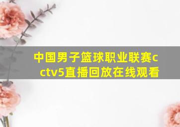 中国男子篮球职业联赛cctv5直播回放在线观看