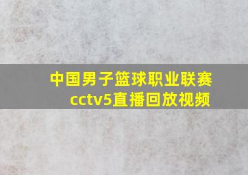 中国男子篮球职业联赛cctv5直播回放视频