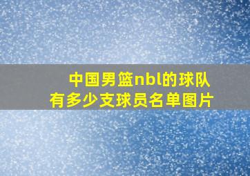 中国男篮nbl的球队有多少支球员名单图片