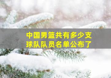 中国男篮共有多少支球队队员名单公布了