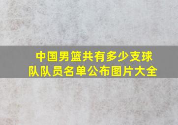 中国男篮共有多少支球队队员名单公布图片大全