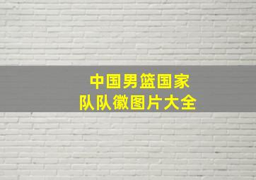 中国男篮国家队队徽图片大全