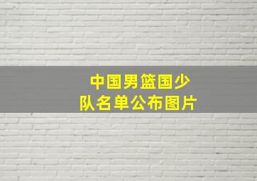 中国男篮国少队名单公布图片