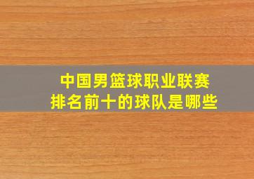 中国男篮球职业联赛排名前十的球队是哪些