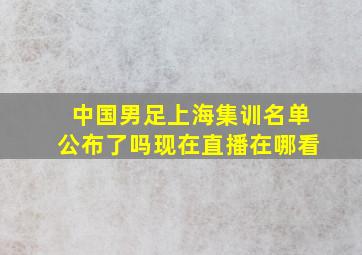 中国男足上海集训名单公布了吗现在直播在哪看