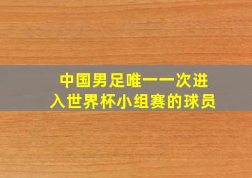 中国男足唯一一次进入世界杯小组赛的球员