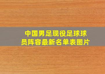 中国男足现役足球球员阵容最新名单表图片