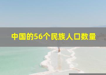 中国的56个民族人口数量