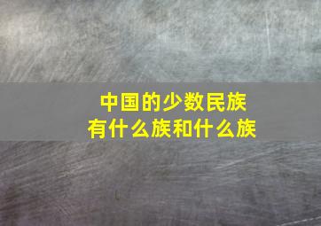 中国的少数民族有什么族和什么族