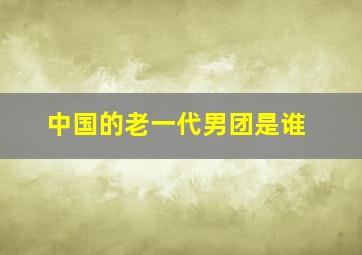 中国的老一代男团是谁