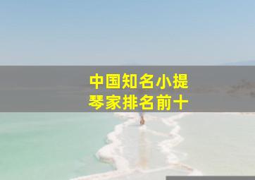 中国知名小提琴家排名前十