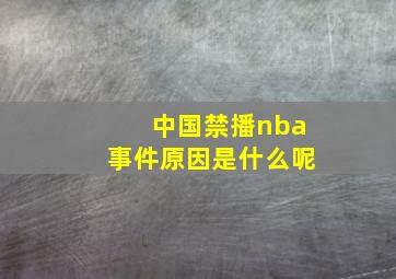 中国禁播nba事件原因是什么呢