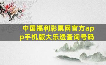 中国福利彩票网官方app手机版大乐透查询号码