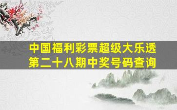 中国福利彩票超级大乐透第二十八期中奖号码查询