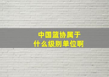 中国篮协属于什么级别单位啊