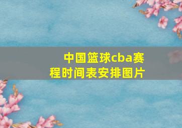 中国篮球cba赛程时间表安排图片