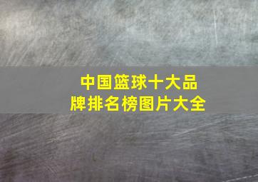 中国篮球十大品牌排名榜图片大全