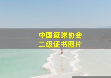 中国篮球协会二级证书图片