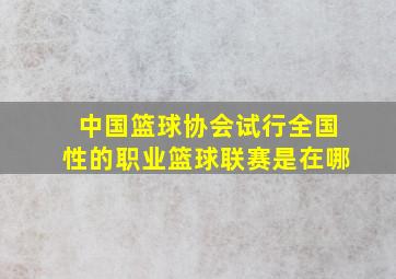 中国篮球协会试行全国性的职业篮球联赛是在哪