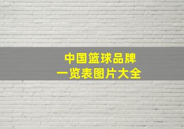 中国篮球品牌一览表图片大全