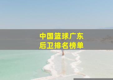 中国篮球广东后卫排名榜单