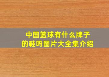 中国篮球有什么牌子的鞋吗图片大全集介绍