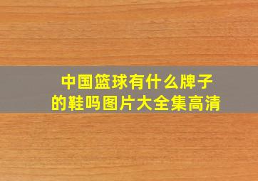 中国篮球有什么牌子的鞋吗图片大全集高清